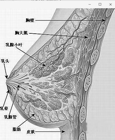 QQ截圖20180306153718.jpg